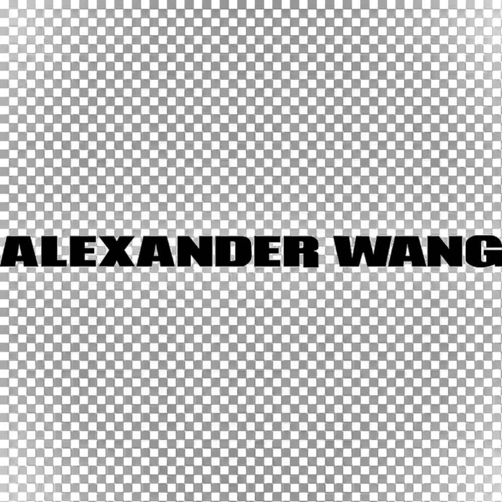 ALEXANDER WANG | XS | T by Alexander Wang Mesh Overlay Laser Cut Sheath Dress